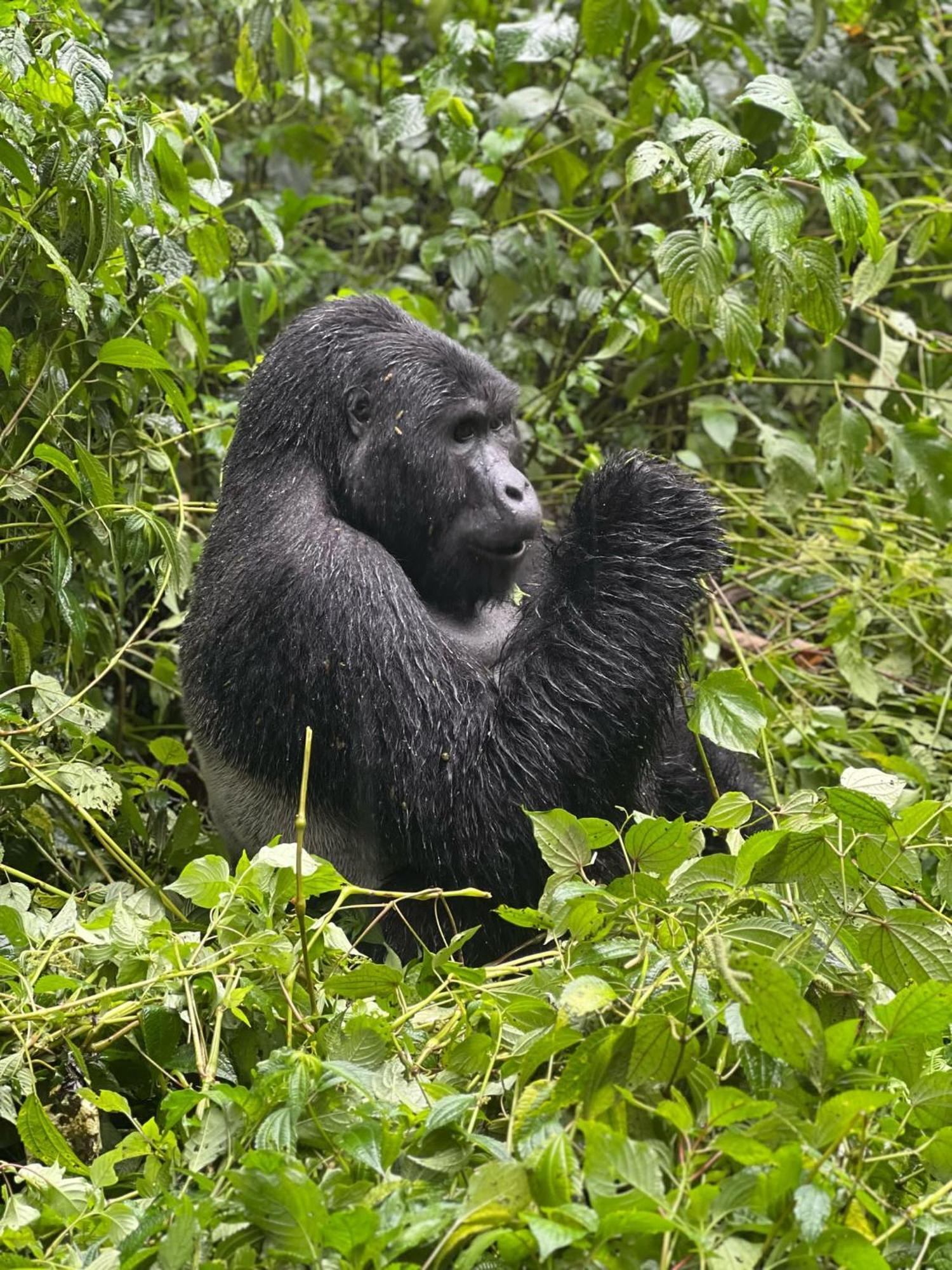 Om Hostel Bunyonyi Kabale 外观 照片