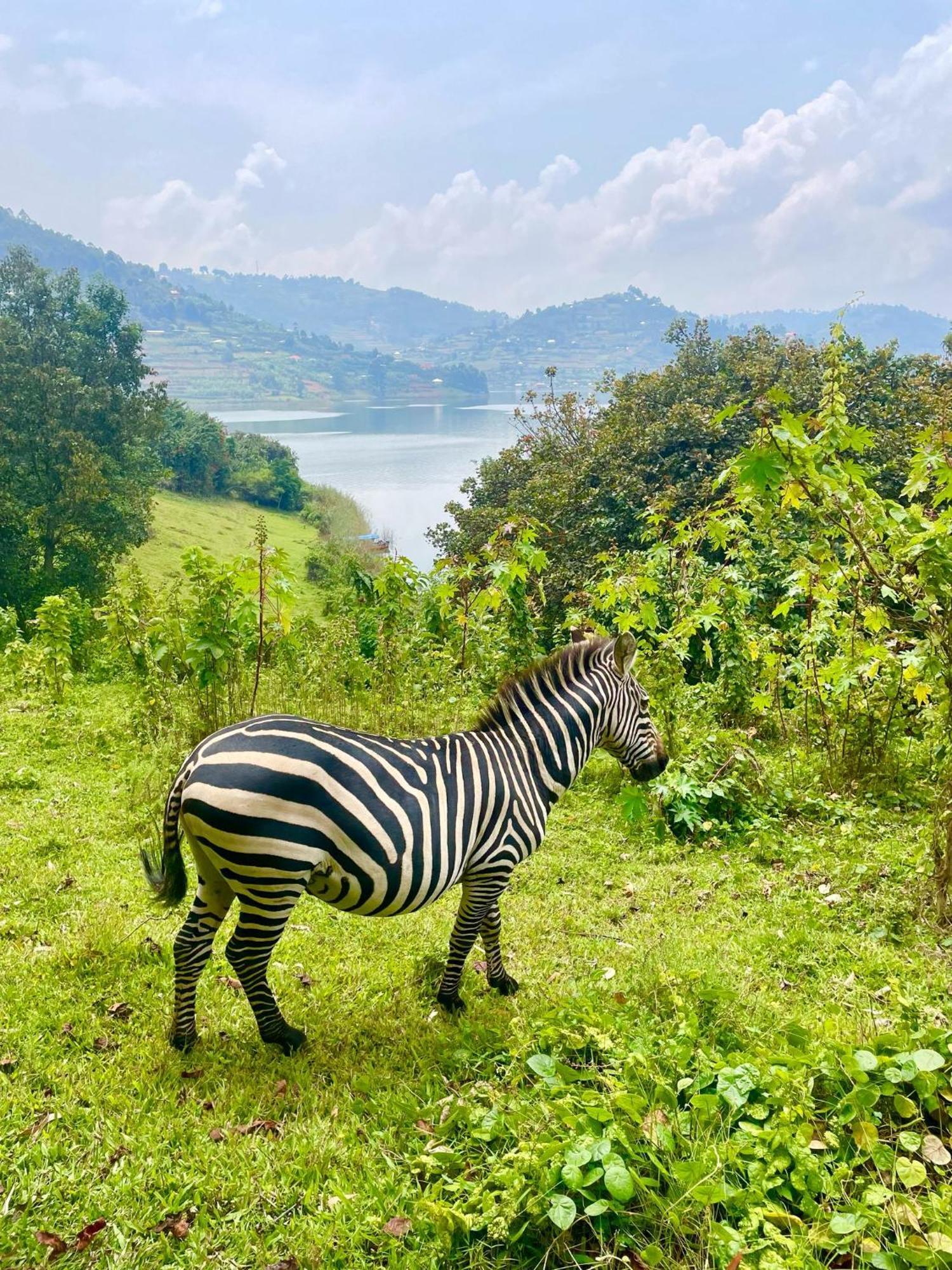 Om Hostel Bunyonyi Kabale 外观 照片